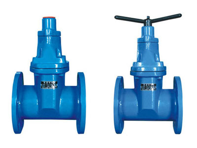 锁闭式地下弹性座封闸阀